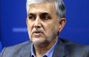 سرمایه بانک توسعه تعاون باید افزایش یابد