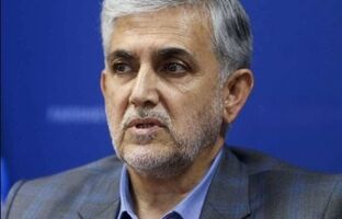 سرمایه بانک توسعه تعاون باید افزایش یابد