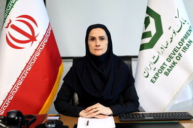 دکتر خانی: هر آنچه حاصل شد، مرهون تخصص، تعهد و همدلی خانواده بزرگ بانک توسعه صادرات ایران است