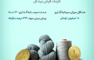 آغاز پویش تامین مالی جمعی شرکت «گلرنگ فرش بیدگل»