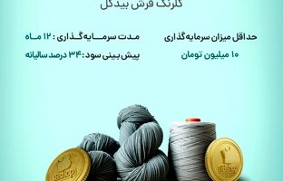 آغاز پویش تامین مالی جمعی شرکت «گلرنگ فرش بیدگل»