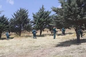 اقدامات پیشگیرانه از آتش‌سوزی در جنگل‌ها و باغات منطقه ۲ 