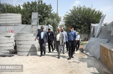 نصب ۱۲ پایه برج نوری ورودی شهرک شهید دقایقی