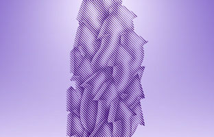 بانک اقتصادنوین در رتبه سی‌وسوم شرکت‌‌های برتر کشور قرار گرفت