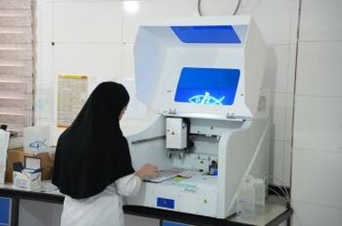 پیشرفت طرح پلی‌اتیلن سنگین شرکت صنایع پلیمر گچساران از ۵۰ درصد عبور کرد/ نصب مخازن دوقلوی ذخیره بوتن پروژه