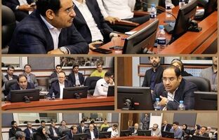 لزوم تنظیم‌گری هوشمند و همکاری نهادهای مالی برای پیشگیری از ریسک‌های سیستمی