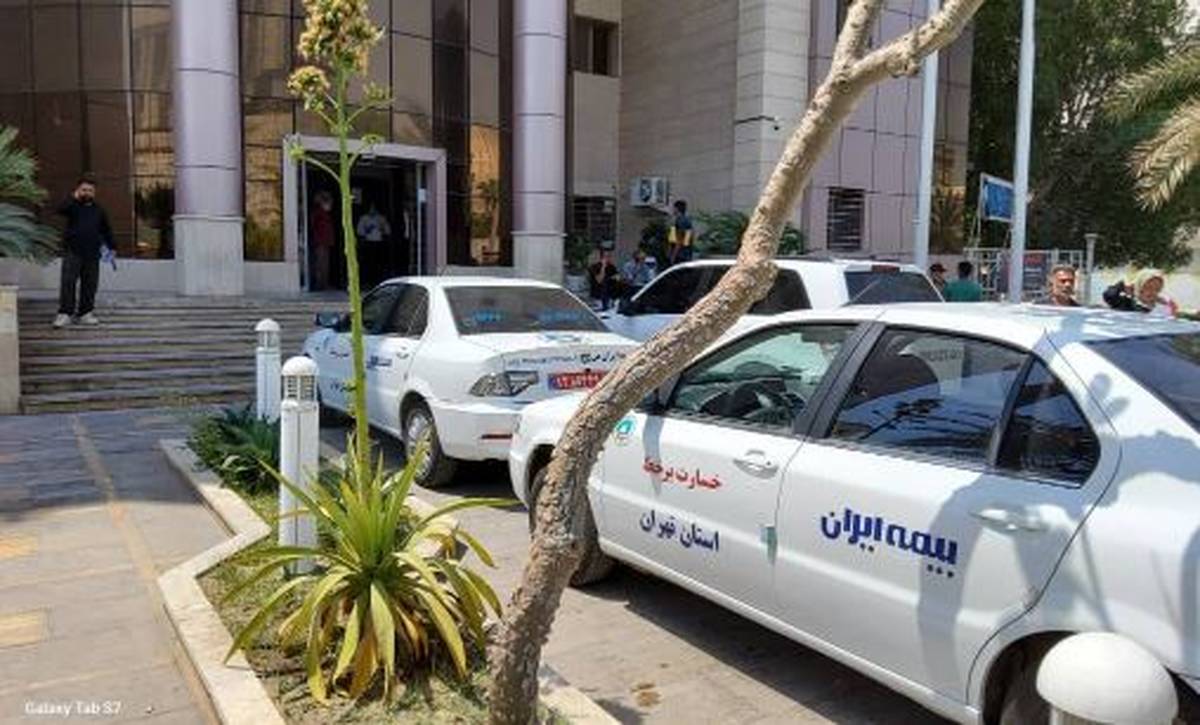 اقدام متمایز بیمه ایران در حادثه بندرعباس