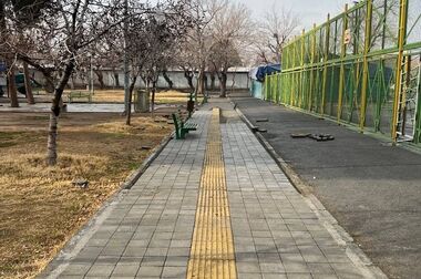احیای سینماهای منطقه ۱۲ در دستورکار مدیریت شهری و متخصصان سینما