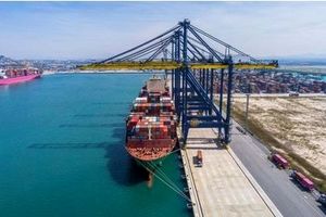 منطقه خلیج فارس مشمول بیمه شرایط جنگی نشد/تأثیر مستقیم هزینه حمل دریایی بر قیمت تمام شده کالا