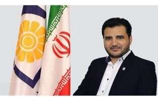۳۲ ترکیب سرمایه‌گذاری، متناسب با ریسک و اهداف بیمه‌گذاران پاسارگاد