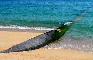 آب دریای عمان به اصفهان رسید