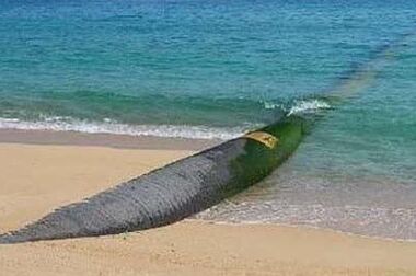 پیام مهندس آقاجانلو به مناسبت روز ملی فناوری اطلاعات 