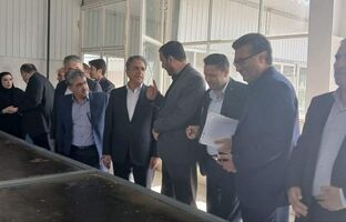 اختصاص ۲۸۰ میلیارد تومان تسهیلات بانک صنعت و معدن برای حمایت از واحدهای تولیدی شهرستان گرمی استان اردبیل