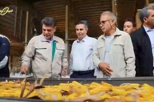 زپارس به دنبال تکرار تجربه موفق ذرت ۷۰۴ در سایر محصولات راهبردی کشور