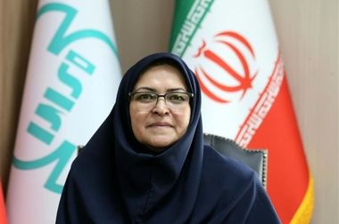 انصاری: استانداردسازی، مسیر توانمندسازی تولیدکنندگان است نه مانع تولید