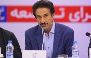 ورود سرمایه گذار به زنجیره ارزش باید توجیه اقتصادی داشته باشد