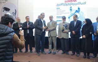 بیستمین جشنواره ملی زیبایی اسب کاسپین در منطقه آزاد انزلی برگزار شد