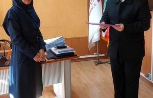 پرداخت خسارت ۵۹ میلیاردی پرونده باربری وارداتی توسط بیمه نوین