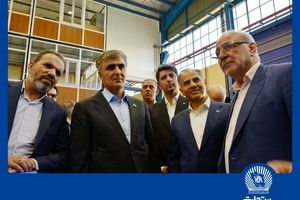 دکتر فرزین: انرژی خورشیدی از مهم‌ترین اولویت‌های رئیس‌جمهور است