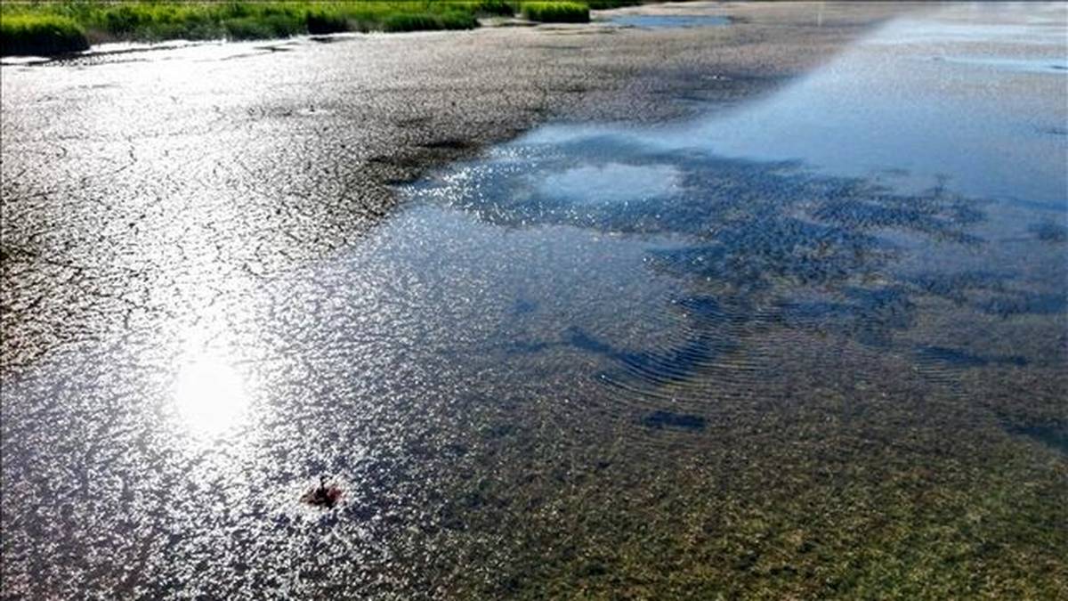 بحران آب تهران به مرز تنش جدی رسیده است