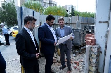 لاشه دام‌های ذبح شده، توسط دامپزشکان بررسی می‌شود