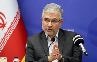 ارز ترجیحی حذف نشده، سر جای خودش است/ بعید می‌دانم برنج آلوده‌ای در کشور توزیع شده باشد