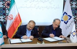 توسعه بنگاه‌های تولیدی و تعاونی‌های روستایی با حمایت بانک توسعه تعاون
