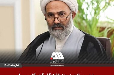 ساختار دارایی ها و بدهی های شرکت معدنی و صنعتی گل گهر

