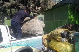 ‍ اجرای طرح ضربتی مقابله با جمع‌آوری غیرمجاز پسماند خشک در منطقه ۱۹