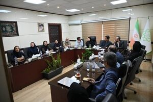 بازنگری در چهار طرح موضعی ولنجک و شهرک‌های تابعه منطقه یک
