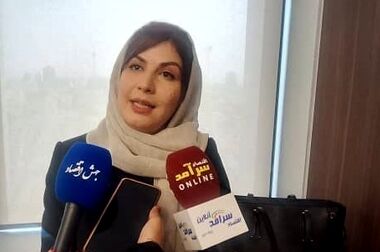 بیمه سهام ابزاری برای حفظ سرمایه سرمایه‌گذاران در بازار/ روزشماری برای اجرای بیمه سهام آغاز شد