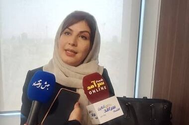 بیمه سهام ابزاری برای حفظ سرمایه سرمایه‌گذاران در بازار/ روزشماری برای اجرای بیمه سهام آغاز شد
