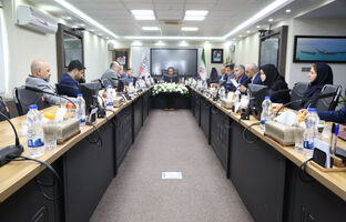  آقاجانلو: مدل اجرایی جدید برای تامین مالی طرح های مس طراحی شود 