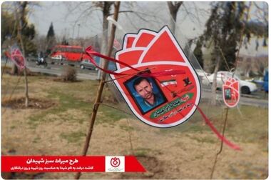 برگزاری جلسه هیات امنای صندوق قرض الحسنه شاهد