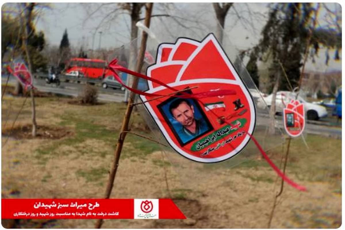 کاشت نهال به یاد شهدای صندوق قرض الحسنه شاهد