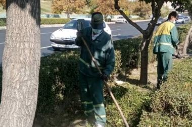 حذف زوائد بصری و فیزیکی از معابر منطقه ۲