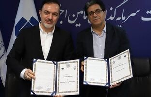 مدیرعامل شستا: صادرات انتخاب نیست، شرط بقا، مسیر یادگیری و حضور در متن شبکه‌های کسب‌وکار است