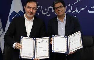 مدیرعامل شستا: صادرات انتخاب نیست، شرط بقا، مسیر یادگیری و حضور در متن شبکه‌های کسب‌وکار است