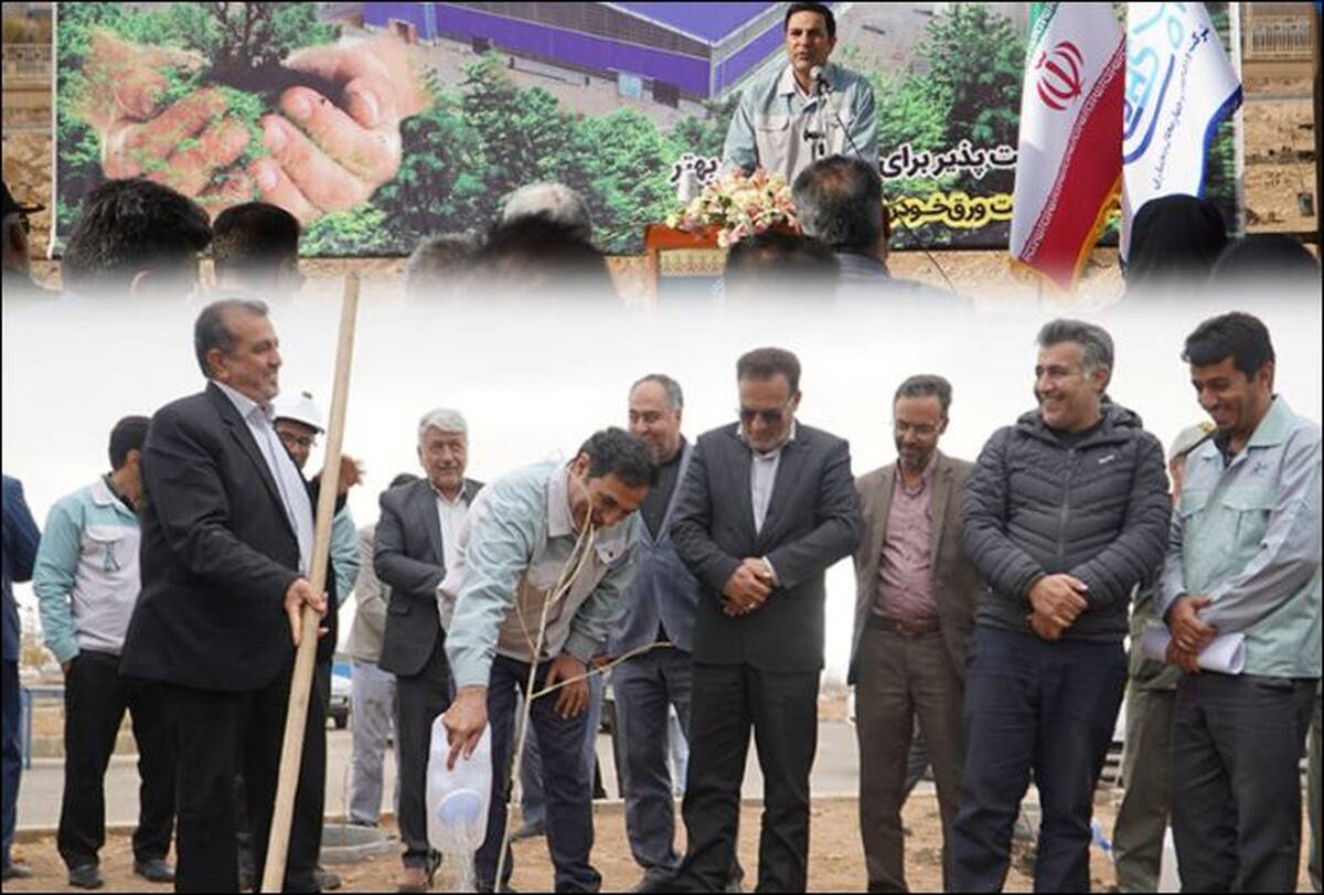 نگین فیروزه‌ای ورق خودرو با حلقه سبز جنگلی احاطه می شود