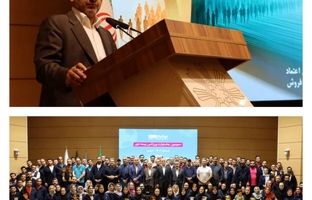 سومین جشنواره ورزشی بیمه دی در اردبیل برگزار شد/ معرفی قهرمانان رشته‌های مختلف