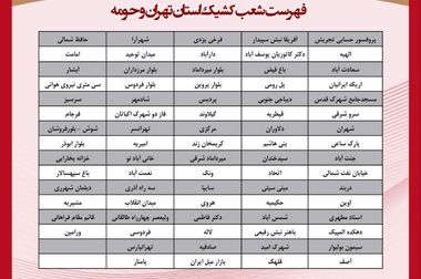پیام تسلیت مدیرعامل بانک پارسیان به مناسبت اربعین حسینی