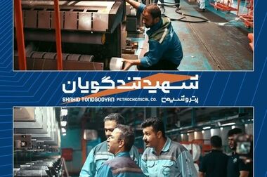 افزایش سرمایه ۴۲ درصدی شگویا تصویب شد