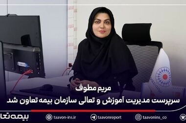 بیمه تعاون در قلب مناقصه‌های بزرگ