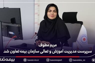 بیمه تعاون در قلب مناقصه‌های بزرگ