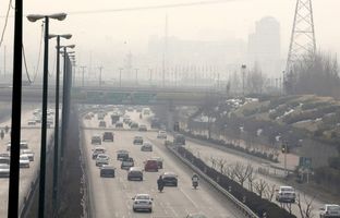 ۱۶ ابتکار جهانی برای کاهش آلودگی هوا؛ از شهر هوشمند تا جنگل‌های عمودی