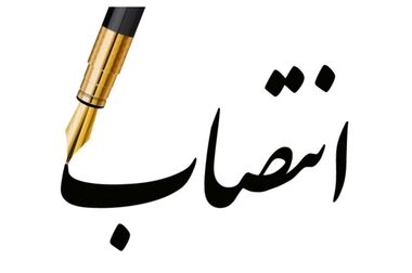 هلدینگ خلیج‌فارس، توانایی کاهش سهم ۲ میلیارددلاری واردات محصولات پتروشیمی را دارد/ به‌جای تولید انفرادی ده‌ها محصول، باید در صدها زنجیره ارزش جهانی سهم داشته باشیم