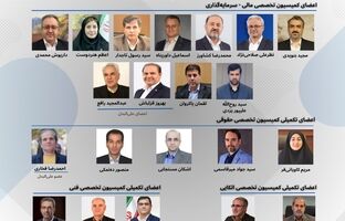 برگزاری انتخابات اعضای کمیسیون‌های تخصصی سندیکای بیمه‌گران ایران