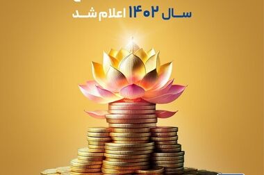 «پاسارگاد» بیشتر از سرمایه تاسیس یک شرکت بیمه، سود مشارکت در منافع داد