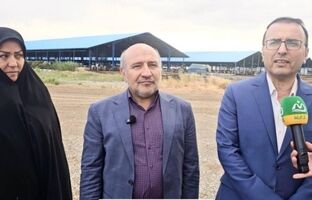 منطقه آزاد ماکو، فرصت طلایی سرمایه‌گذاری در زنجیره دام و طیور