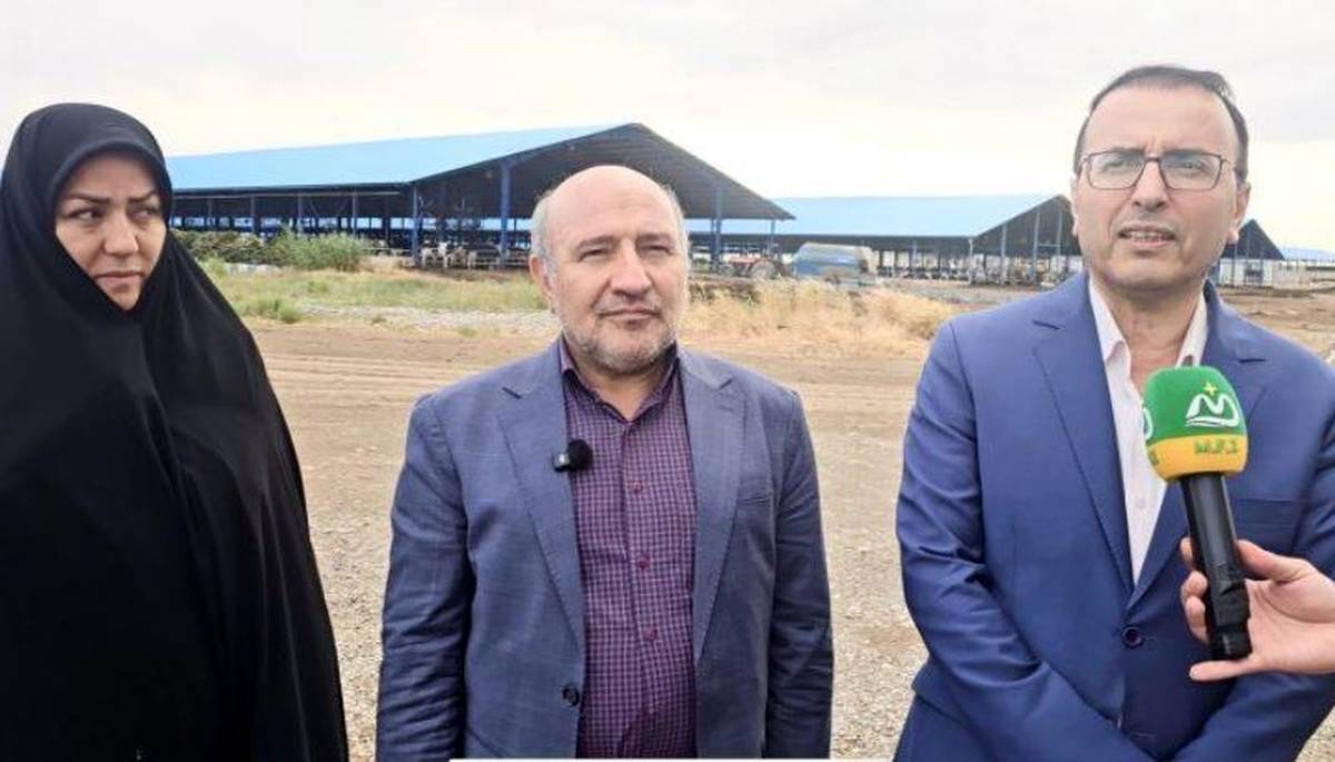 منطقه آزاد ماکو، فرصت طلایی سرمایه‌گذاری در زنجیره دام و طیور